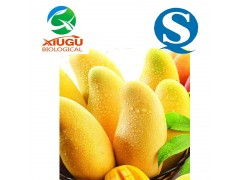 直销果蔬粉芒果粉 烘焙、膨化与固体饮料原料的理想选择