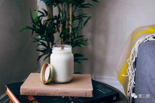 人吃的美食，狗狗能食用吗？警惕这些甜蜜陷阱——详解狗狗不能吃的甜味烘焙产品